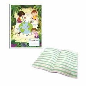 CADERNO CALIGRAFIA 40 FOLHAS CAPA DURA BROCHURA LINHA VERDE TAMOIO 02106- UN